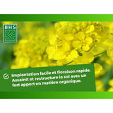 Engrais Verts - BHS - Moutarde Blanche 500g | 100 m˛ | Améliore et désinfecte les sols pour une meilleure fertilité.