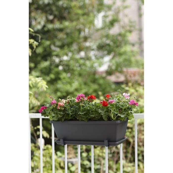 ELHO Soucoupe Barcelona Balconniere 50 - L16,7 x l45,5 x H3 cm - Anthracite - Plastique
