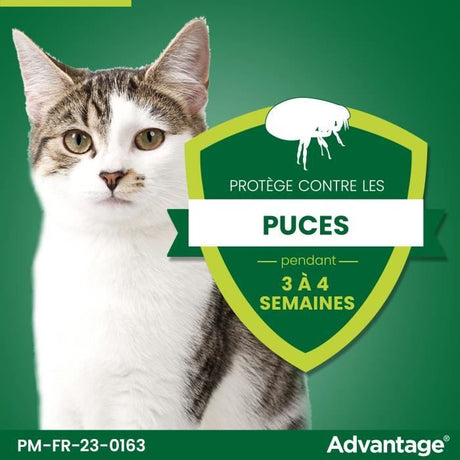 ADVANTAGE Solution Antipuce Chat Lapin 1 a 4kg 4 pipettes