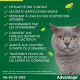 Advantage Solution Antipuce Chat Lapin 1 a 4kg 6 pipettes