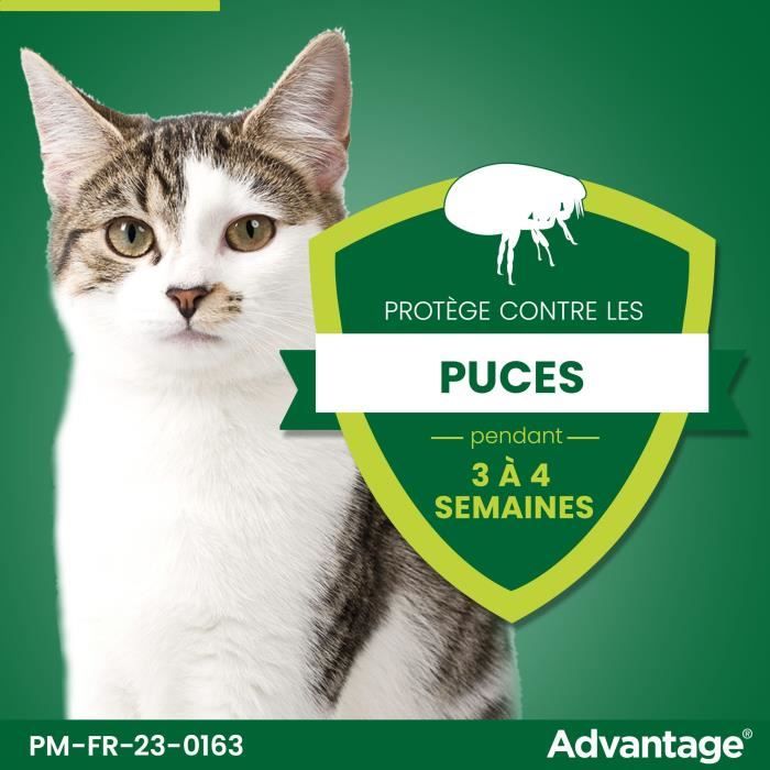 Advantage Solution Antipuce Chat Lapin 1 a 4kg 6 pipettes