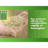 Semence de gazon| Regarnissage Terrain Sec - BHS - 1kg | 50 m˛ | Résistant et durable