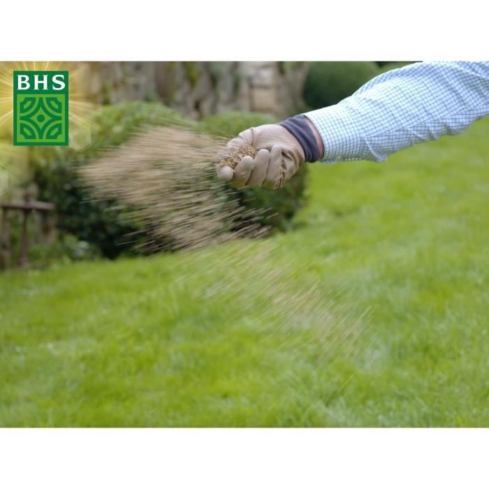 Semence de gazon | Regarnissage Terrain Sec - BHS - 3kg | 150 m˛ | Résistant et durable