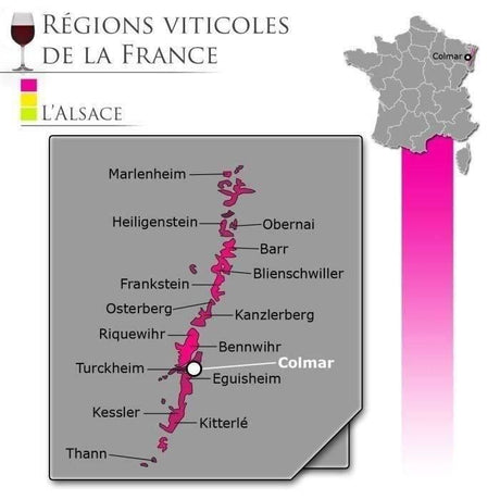 Vin blanc d'Alsace Pierre Brecht 2025 Riesling - Bio