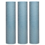 Kit d'entretien adoucisseur - BWT - 3 cartouches - Pastilles IOCLEAN - Protection impuretés & résines