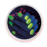 Mon laboratoire des ongles - Clementoni - Science & Jeu - Jeux Scientifiques