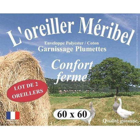 Lot de 2 Oreillers DODO - Méribel Plumettes -  60 x 60 cm - Blanc