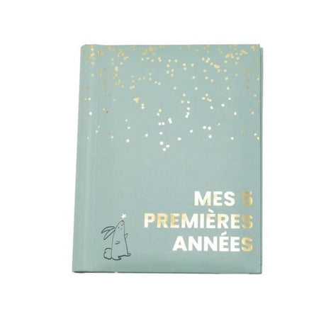 Livre naissance - DOMIVA - Sauge Gold - 5 premieres années - 100 pages illustrées