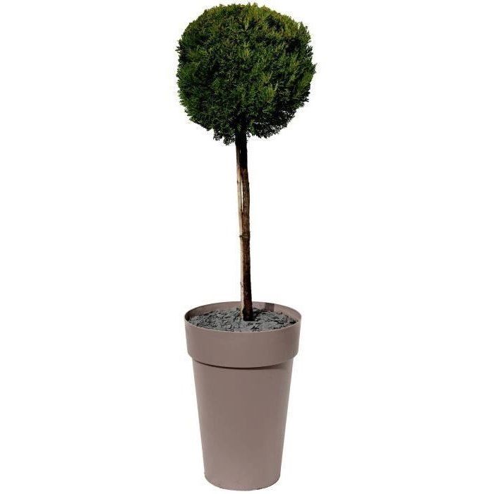 EDA - Pot de fleurs Rond haut- Toscane - Ř 46 x H 65 cm - Intérieur / Extérieur - 67 L - Taupe