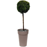 EDA - Pot de fleurs Rond haut- Toscane - Ř 46 x H 65 cm - Intérieur / Extérieur - 67 L - Taupe