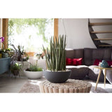Pot vasque Ř 40 cm - EDA - Graphit Up - 14,9 L - Intérieur/ Extérieur - Décor Graphique - Ř 40 x H. 16,5 cm - Gris Anthracite