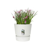 ELHO Pot de fleurs rond Greenville 40 - Extérieur - Ř 39 x H 36,8 cm - Blanc