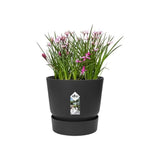 ELHO Pot de fleurs rond Greenville 30 - Extérieur - Ř 29,5 x H 27,8 cm - Vivre noir