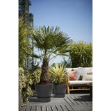 ELHO Pot de fleurs rond Greenville 30 - Extérieur - Ř 29,5 x H 27,8 cm - Vivre noir