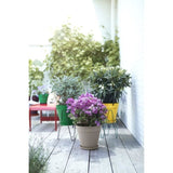 ELHO Pot de fleurs rond Loft Urban 25 - Extérieur - Ř 24,5 x H 22,2 cm - Jaune ocre