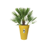 ELHO Pot de fleurs Loft Urban rond Haut - Ř 34 x H 45 cm - Extérieur - 100% recyclé - Jaune