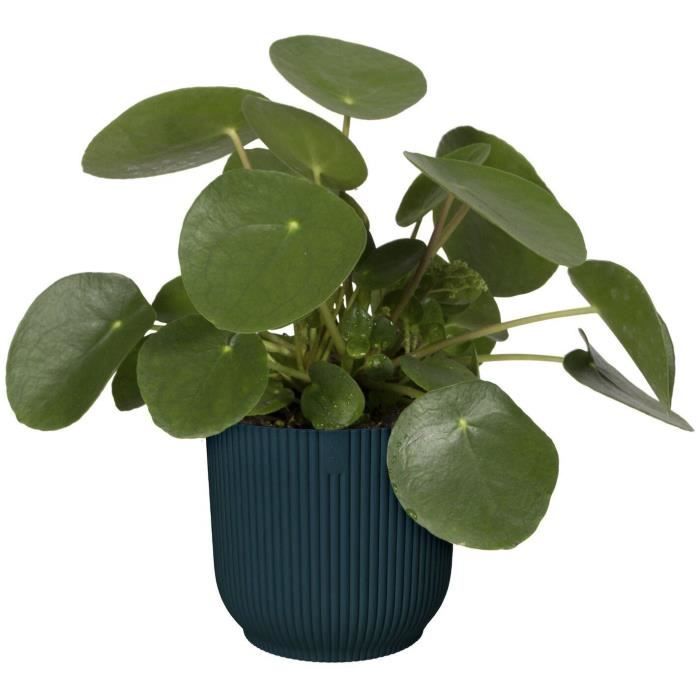 ELHO Pot de fleurs Rond VIBES - Ř22 x H20,16 cm - Plastique - Bleu Foncé