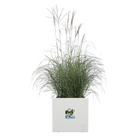 ELHO Pot de fleurs Vivo Next Square 40 - Ř 39 x H 38 cm - Intérieur,Extérieur - 100% recyclé -  Blanc