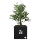 ELHO Bac a fleurs Vivo Next Square 40 - Ř 39 x H 38 cm - Intérieur,Extérieur - 100% recyclé - Noir