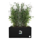 ELHO Bac a fleurs Vivo Next Long 80 - L 78 x W 39 x H 38 cm - Intérieur,Extérieur - 100% recyclé - Noir