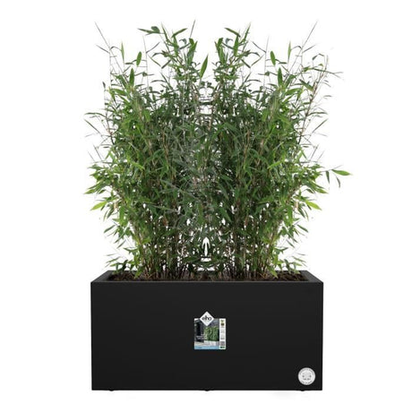 ELHO Bac a fleurs Vivo Next Long 80 - L 78 x W 39 x H 38 cm - Intérieur,Extérieur - 100% recyclé - Noir