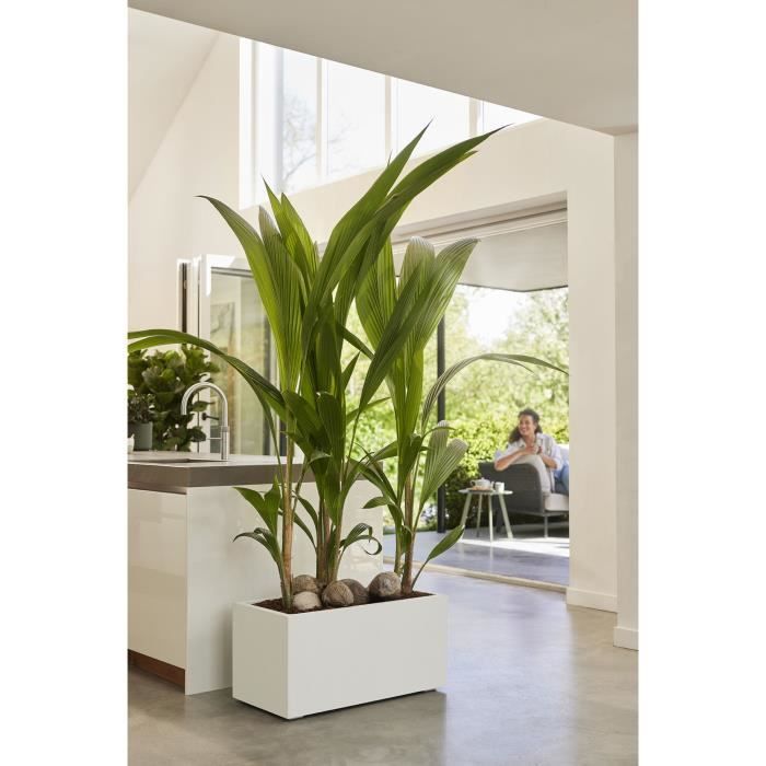 ELHO Bac a fleurs Vivo Next Long 60 - L 59 x W 30 x H 29 cm - Intérieur,Extérieur - 100% recyclé - Blanc