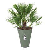 ELHO Pot de fleurs Loft Urban rond Haut - Ř 34 x H 45 cm - Extérieur - 100% recyclé - Vert