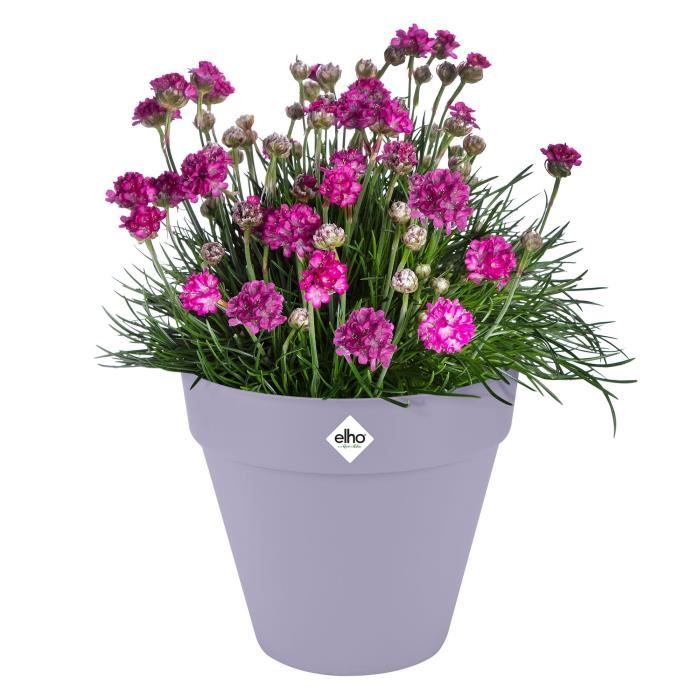 ELHO Pot de fleurs Loft Urban Rond avec roues - Violet - Ř 38.5 x H 35 cm - Extérieur - 100% recyclé