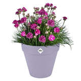 ELHO Pot de fleurs Loft Urban Rond avec roues - Violet - Ř 38.5 x H 35 cm - Extérieur - 100% recyclé