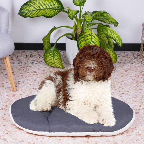 Coussin - FERPLAST - RELAX 78/8 - 78 x 50 cm - Tissu et fourrure