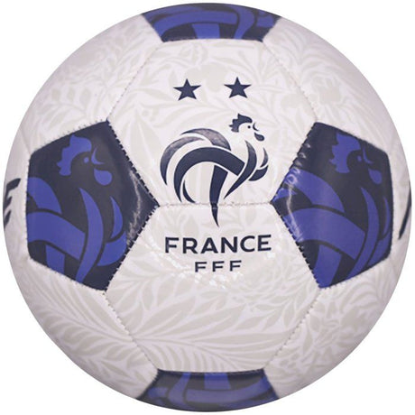 Ballon de football - FFF - Vision - T5 - 400g
