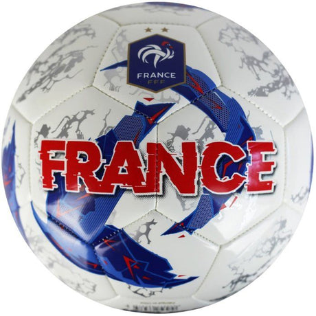 Ballon de football - FFF - TPU Gravity - T5