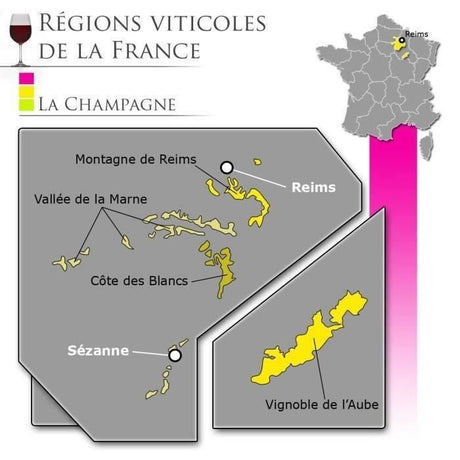 Champagne Georges Clément Blanc de blancs Brut - 75 cl