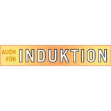 Mini Cocotte - GSW - 718301 - Fonte d'acier massive - Induction - Gris anthracite