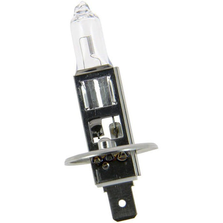 Ampoule H1 LIFE+100% 55W - MICHELIN -Feu de croisement, route, antibrouillard.