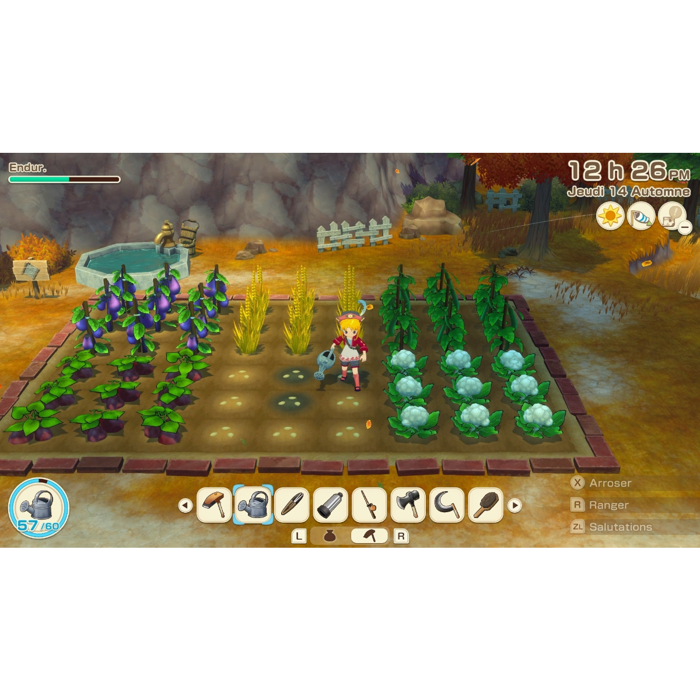 Story of Seasons: Grand Bazaar - Nintendo Switch 2 Edition • Jeu Nintendo Switch 2