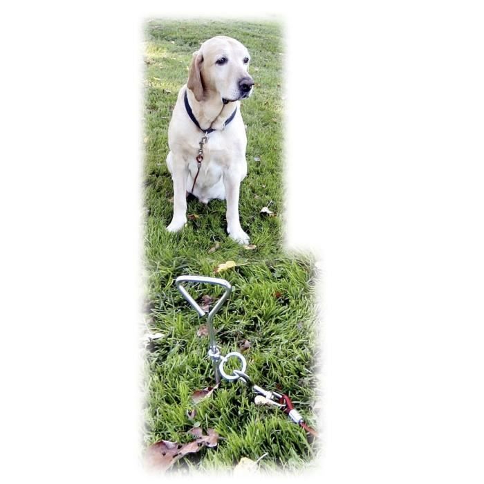 KERBL - Laisse d'attache avec ancrage spirale pour chien