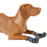 KERBL - Chaussures pour chien -  ACTIVE - Gris/noir - Taille XL
