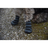 KERBL - Chaussures pour chien -  ACTIVE - Gris/noir - Taille XL