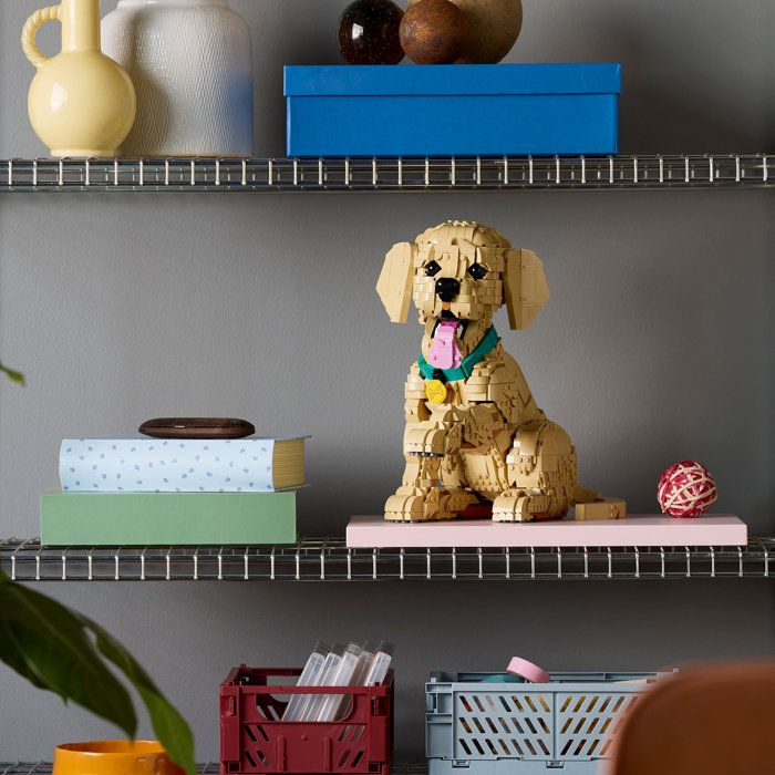 LEGO Icons 11384 Le Chiot Golden Retriever - Set pour Adulte - Maquette de Petit Chien