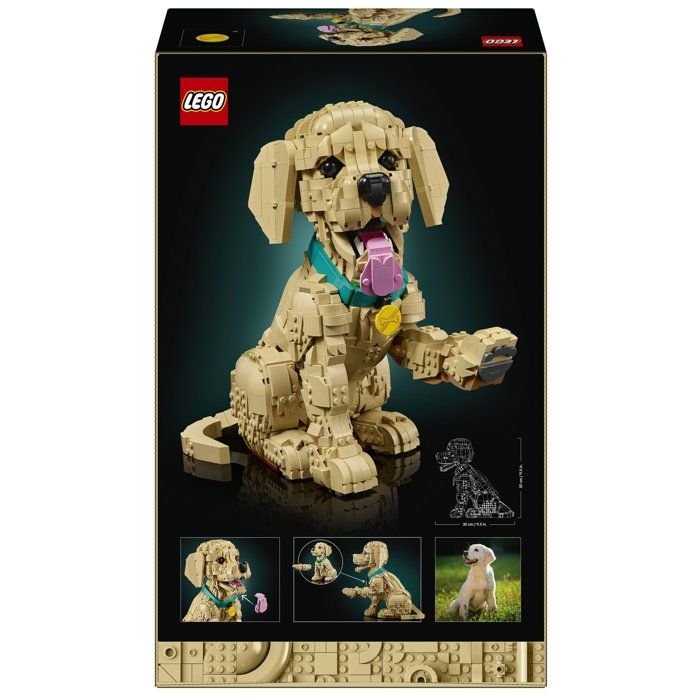 LEGO Icons 11384 Le Chiot Golden Retriever - Set pour Adulte - Maquette de Petit Chien