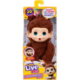 Peluche - LITTLE LIVE PETS - Mon bébé singe mini - Marron - Des 4 ans