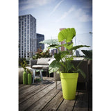ELHO Pot de fleurs Loft Urban rond Haut - Ř 34 x H 45 cm - Extérieur - 100% recyclé - Gris