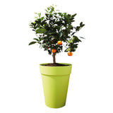 ELHO Pot de fleurs Loft Urban rond Haut - Ř 34 x H 45 cm - Extérieur - 100% recyclé - Gris
