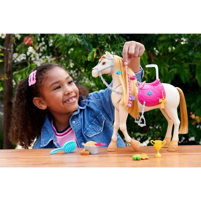 LES MYSTeRES DE BARBIE - a la Poursuite du Cheval Perdu Barbie et son cheval Tornade, HXJ42