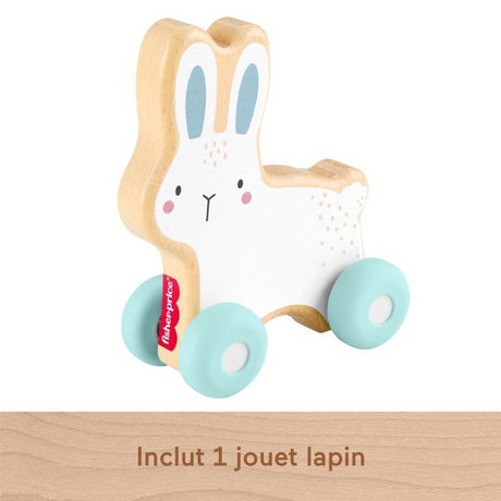 Fisher-Price Lapin a pousser en bois - Véhicule pour jeu a quatre pattes - 1 Piece en bois - des 6 mois - JDM52