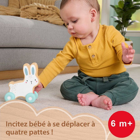 Fisher-Price Lapin a pousser en bois - Véhicule pour jeu a quatre pattes - 1 Piece en bois - des 6 mois - JDM52