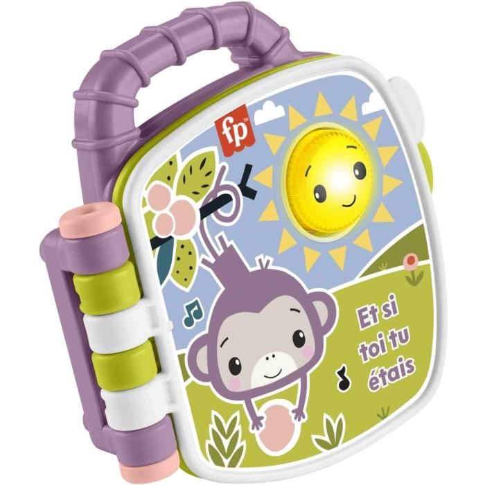 LIVRE COMPTINES PURPLE MONKEY