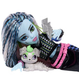 Frankie - Monster High - JHK31