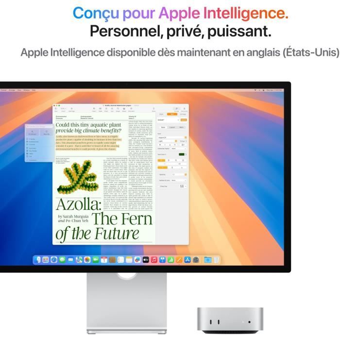 Apple - Mac mini (2024) Puce Apple M4  - RAM 24Go - Stockage 512Go SSD - CPU 10 coeurs GPU 10 coeurs - Argent